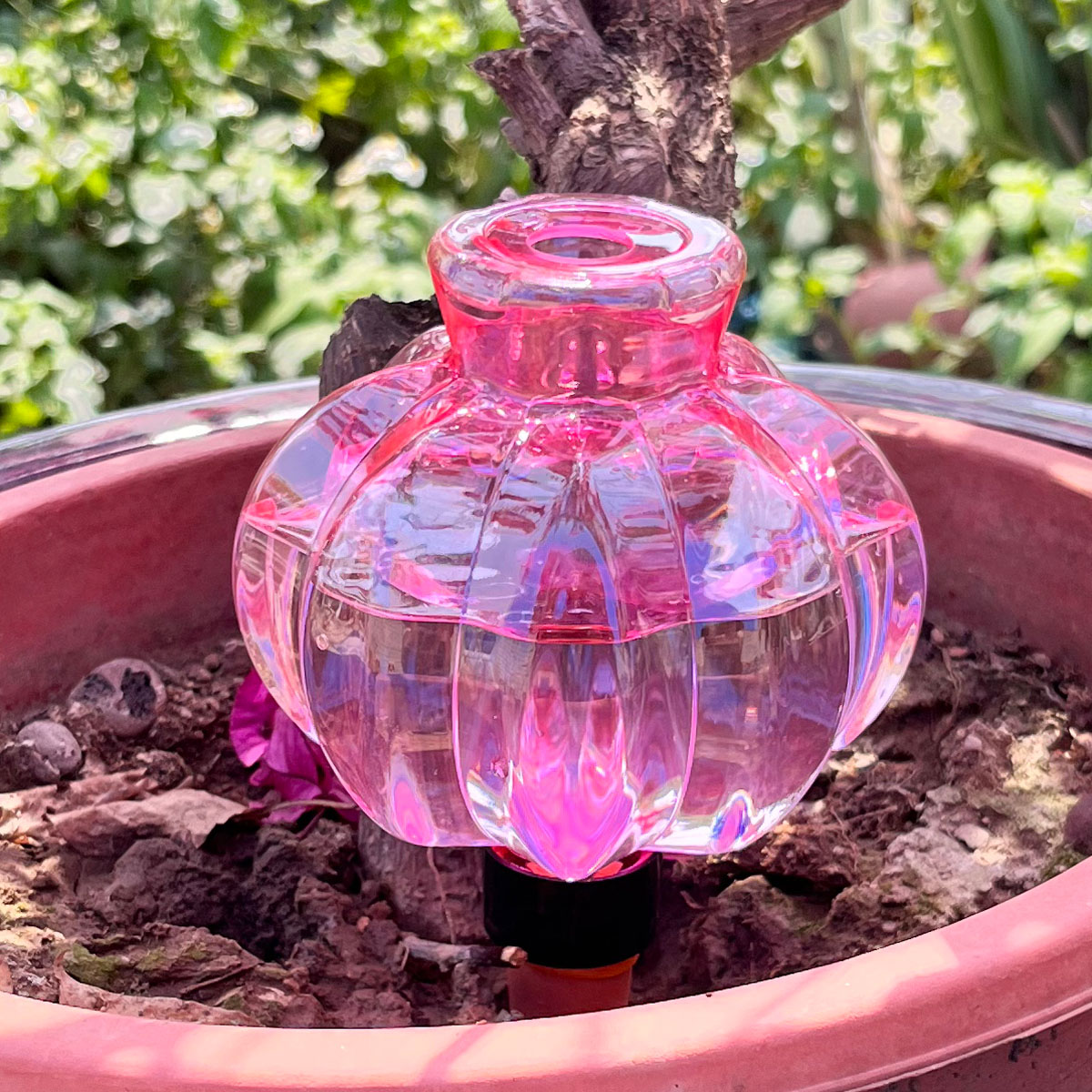 Automatic Plant Waterer - ระบบน้ำหยดพลาสติกสำหรับรดน้ำต้นไม้แบบอัตโนมัติ 2 ชิ้น สำหรับใช้ในบ้าน