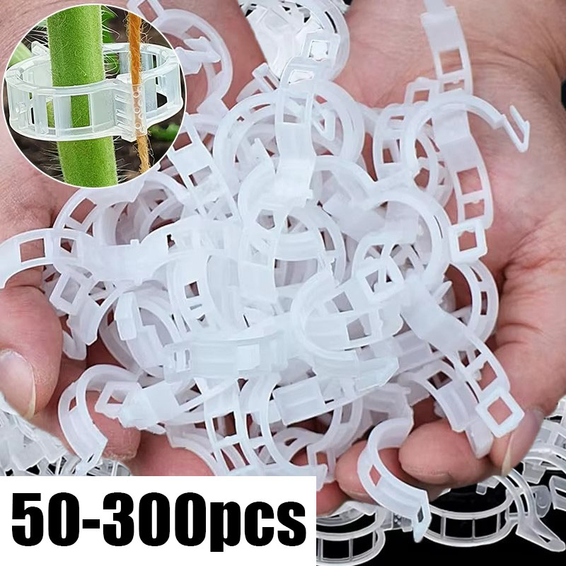 Gardening Tools For Vines - คลิปหนีบยึดต้นไม้แบบใช้ซ้ำได้ 50-300 ชิ้น ทำจากพลาสติก สำหรับเชื่อมต่อและยึดต้นไม้ เช่น