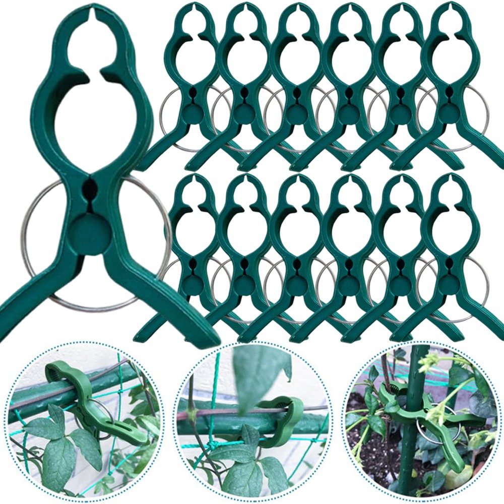 Gardening Tools For Vines - คลิปหนีบยึดต้นไม้ 50/10 ชิ้น สำหรับพยุงผัก แตงกวา มะเขือเทศ