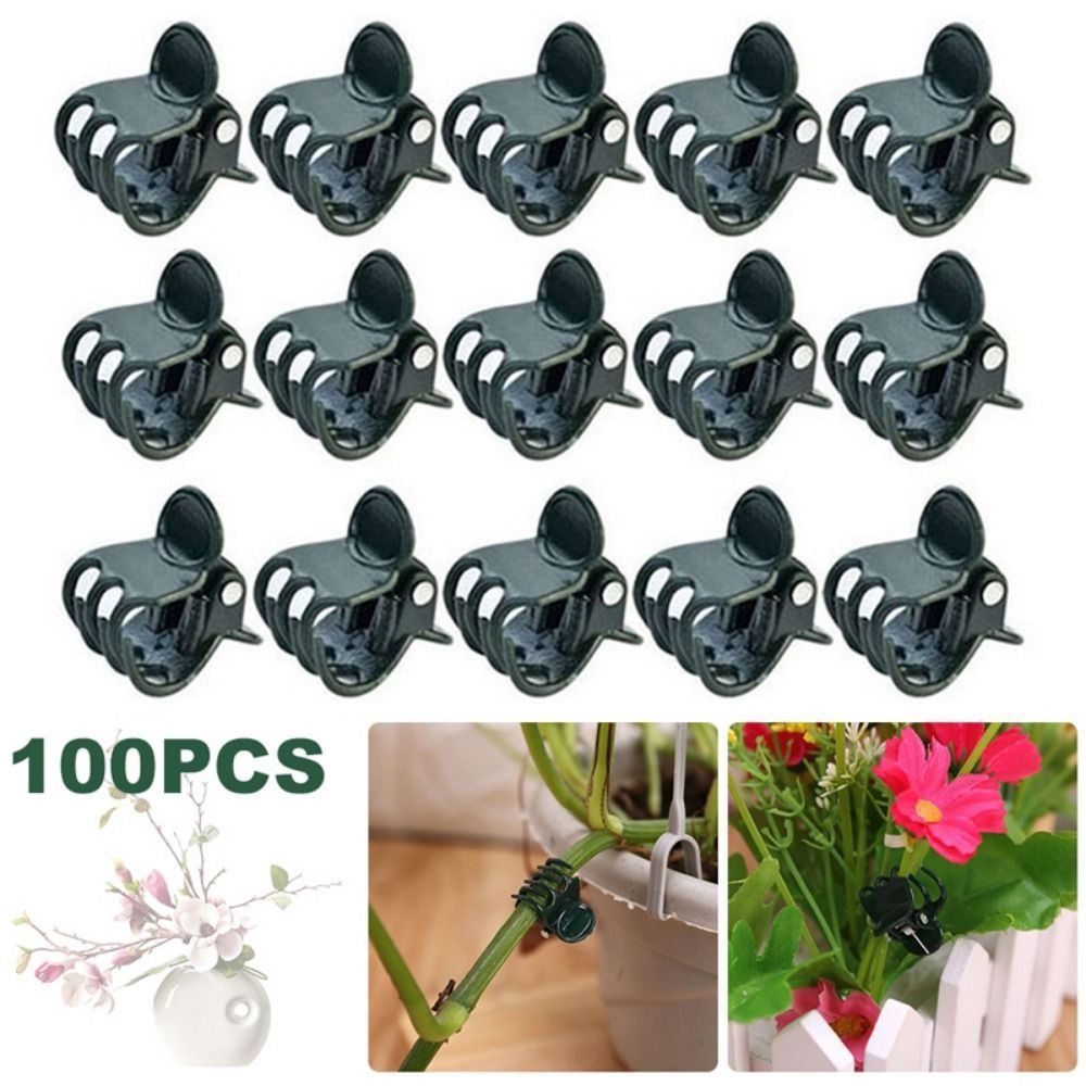 Gardening Tools For Vines - คลิปปลูกต้นไม้เถาวัลย์คลิปอุปกรณ์ทำสวนต้นไม้6-กรงเล็บกล้วยไม้คลิปการสนับสนุนดอกไม้กล้วยไม้คลิปการปลูกถ่ายอวัยวะพลาสติก