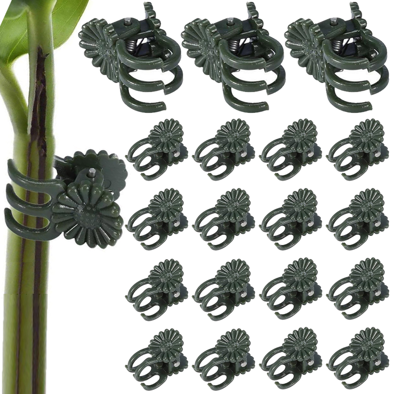 Gardening Tools For Vines - คลิปหนีบต้นไม้20/50/100ชิ้นคลิปยึดเถาองุ่นรองรับพืชสำหรับการต่อกิ่งมะเขือเทศคลิปดอกไม้กล้วยไม้ผีเสื้อเครื่องมือตกแต่งสวน