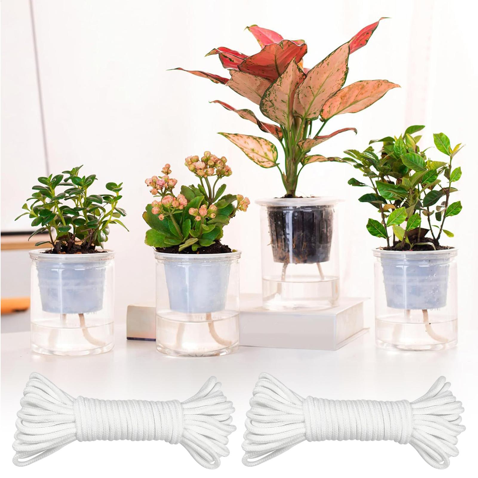 เชือกให้น้ำต้นไม้แบบอัตโนมัติ  - Automatic Plant Waterer บทวิจารณ์และราคา