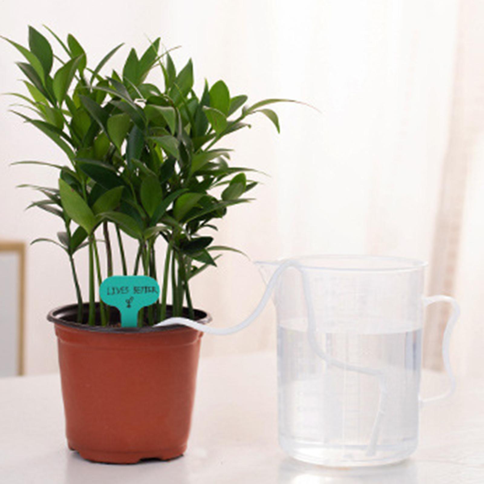 เชือกให้น้ำต้นไม้แบบอัตโนมัติ  - Automatic Plant Waterer บทวิจารณ์และราคา