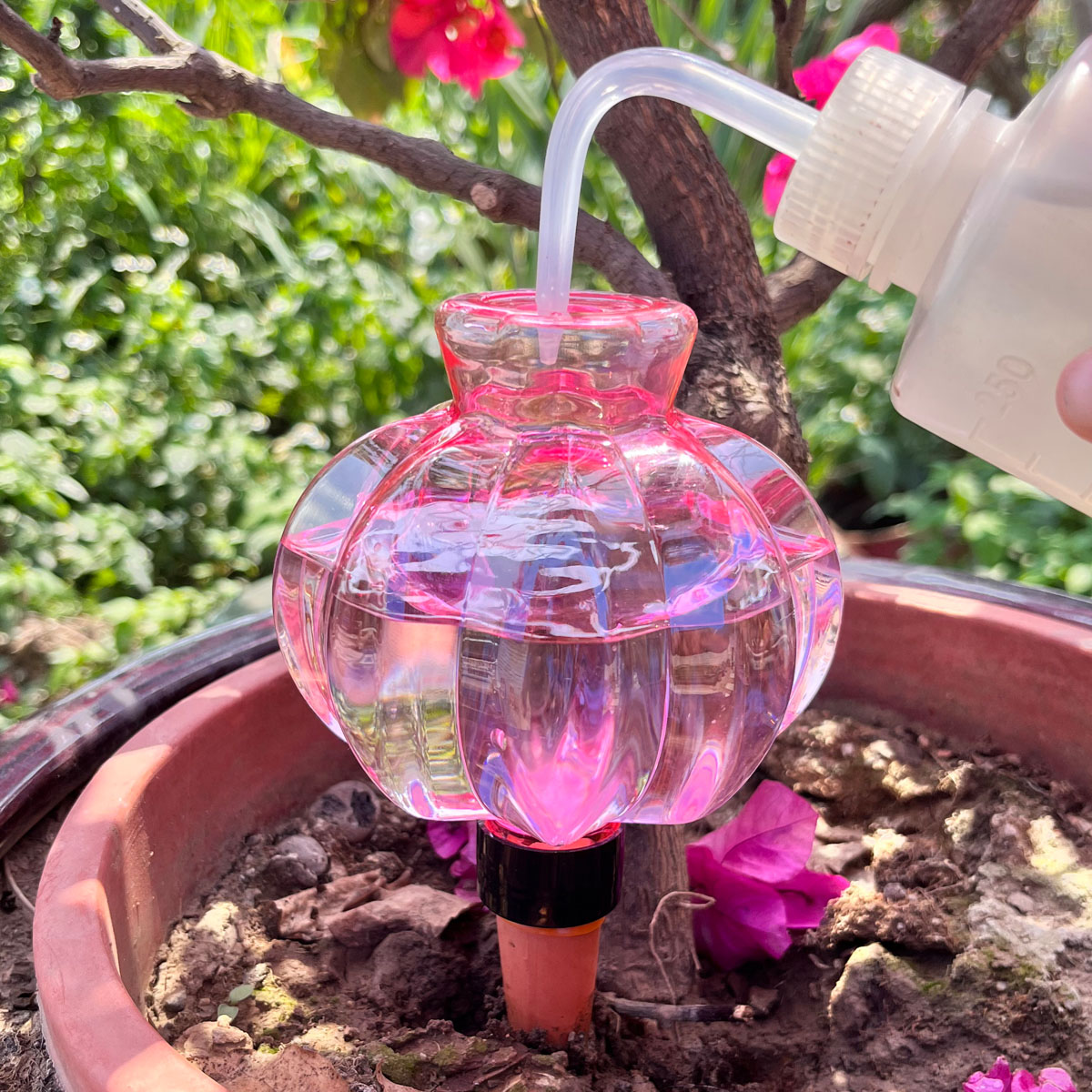 ระบบน้ำหยดพลาสติกสำหรับรดน้ำต้ - Automatic Plant Waterer บทวิจารณ์และราคา