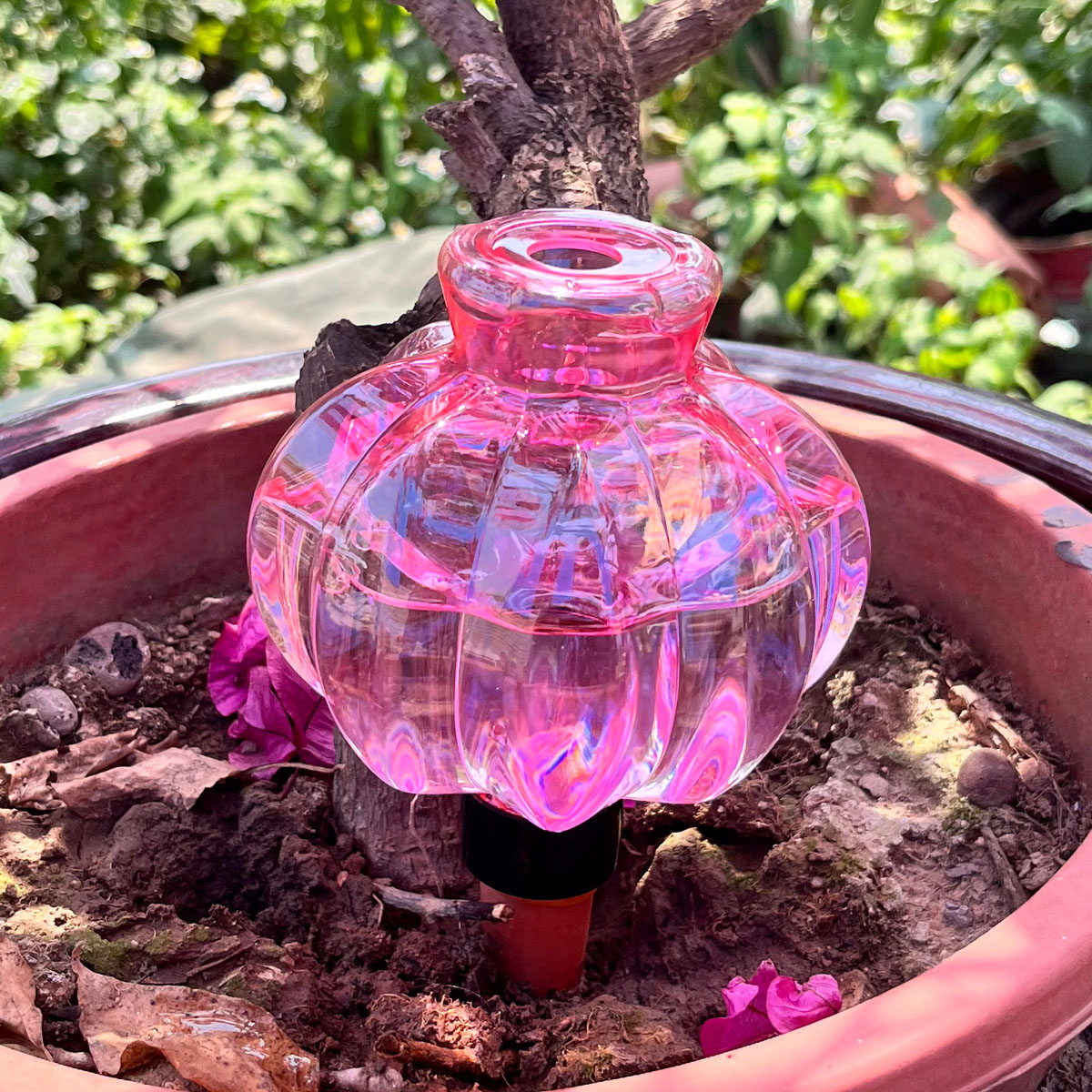 ระบบน้ำหยดพลาสติกสำหรับรดน้ำต้ - Automatic Plant Waterer บทวิจารณ์และราคา