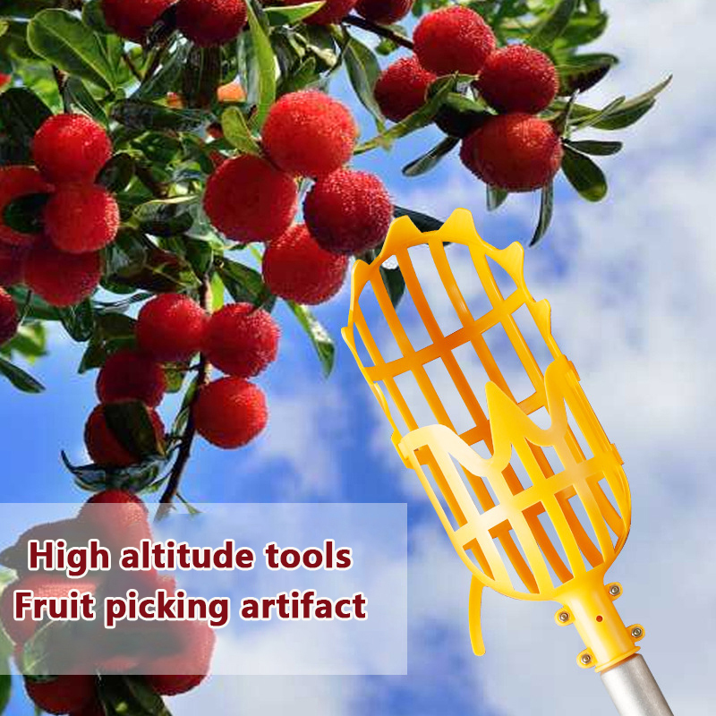 ตะกร้าเก็บผลไม้ล๊อควอท์เบอร์รี - Gardening Tools Organizer บทวิจารณ์และราคา