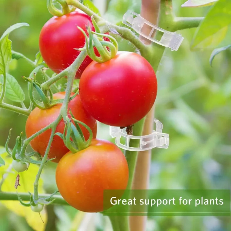 คลิปหนีบยึดต้นไม้แบบใช้ซ้ำได้  - Gardening Tools For Vines บทวิจารณ์และราคา