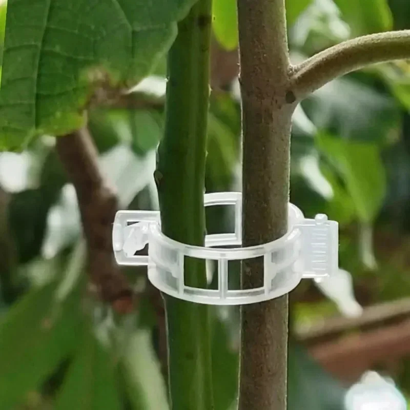 คลิปหนีบยึดต้นไม้แบบใช้ซ้ำได้  - Gardening Tools For Vines บทวิจารณ์และราคา
