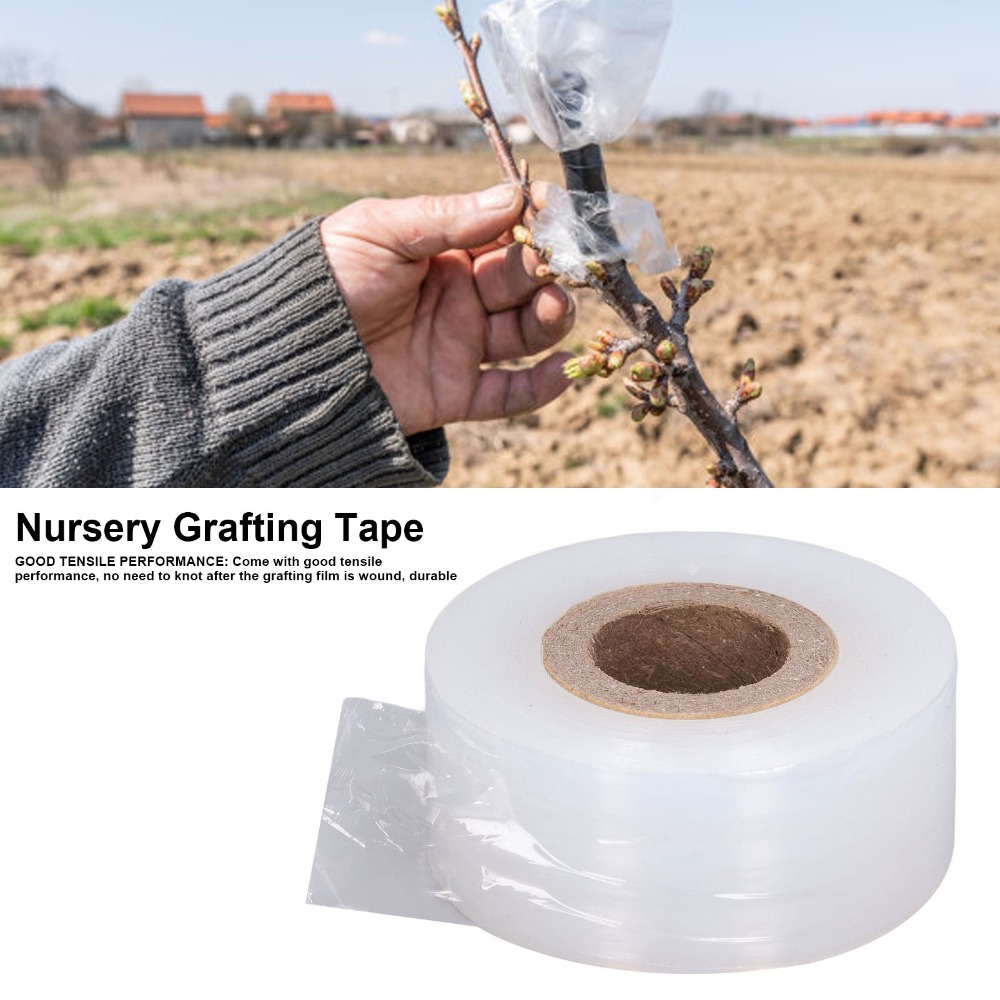 เทปพันกิ่งสำหรับเพาะชำ ขนาดกว้ - Grafting Tape บทวิจารณ์และราคา