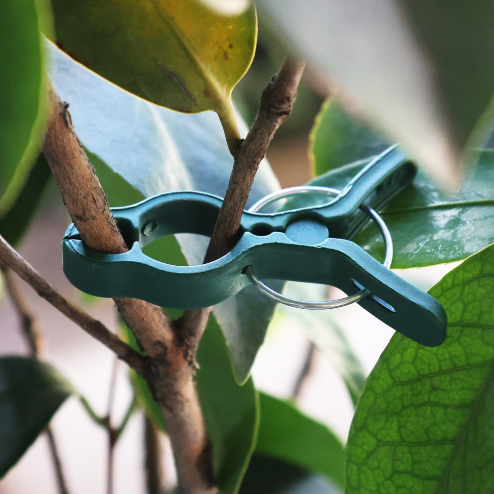 คลิปหนีบยึดต้นไม้ 50/10 ชิ้น ส - Gardening Tools For Vines บทวิจารณ์และราคา
