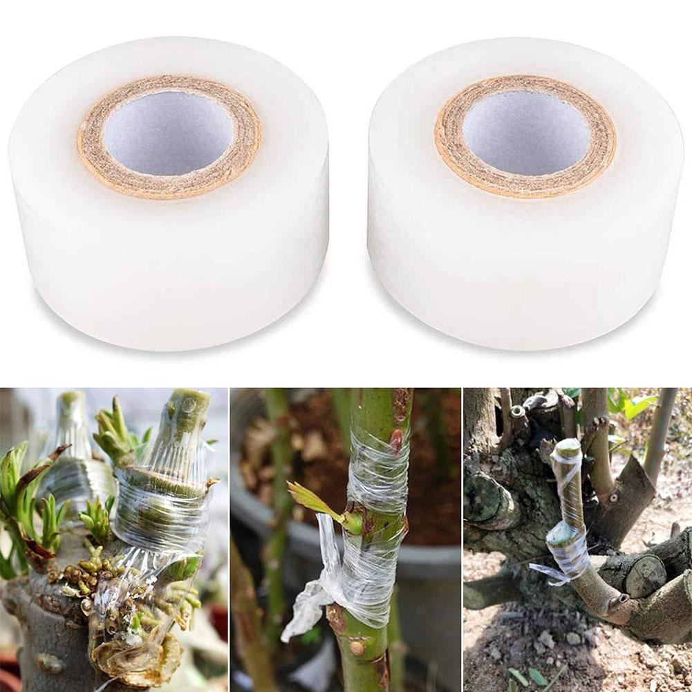 1 ม้วน 200 เมตรของเทปยืดได้สำห - Grafting Tape บทวิจารณ์และราคา