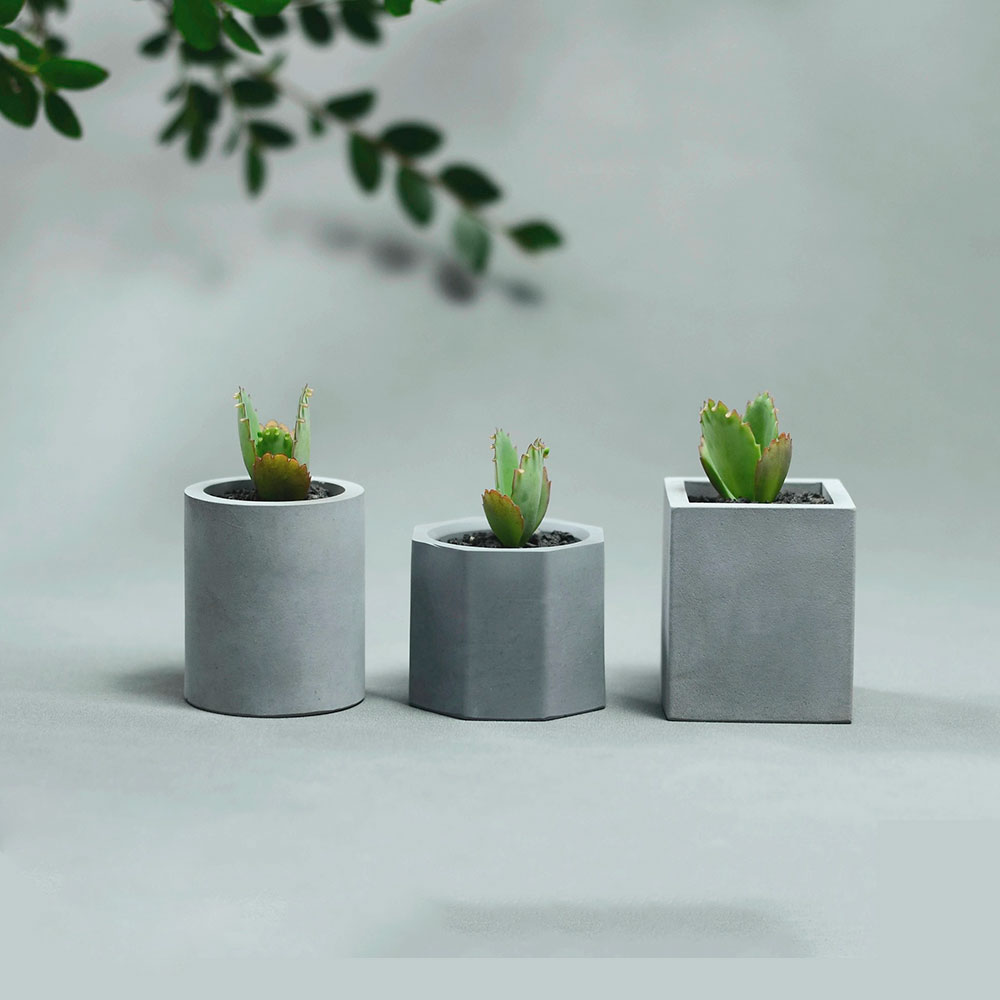 แม่พิมพ์ซิลิโคนสาวน่ารักกระถาง - Gardening Tools Cute บทวิจารณ์และราคา