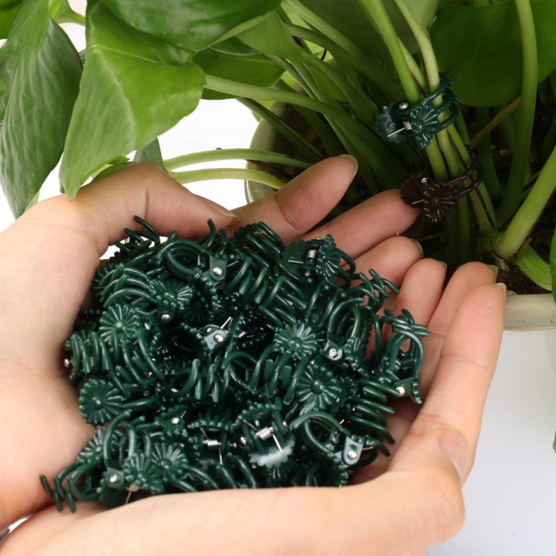 คลิปหนีบต้นไม้ขนาดเล็กสำหรับขา - Gardening Tools For Vines บทวิจารณ์และราคา