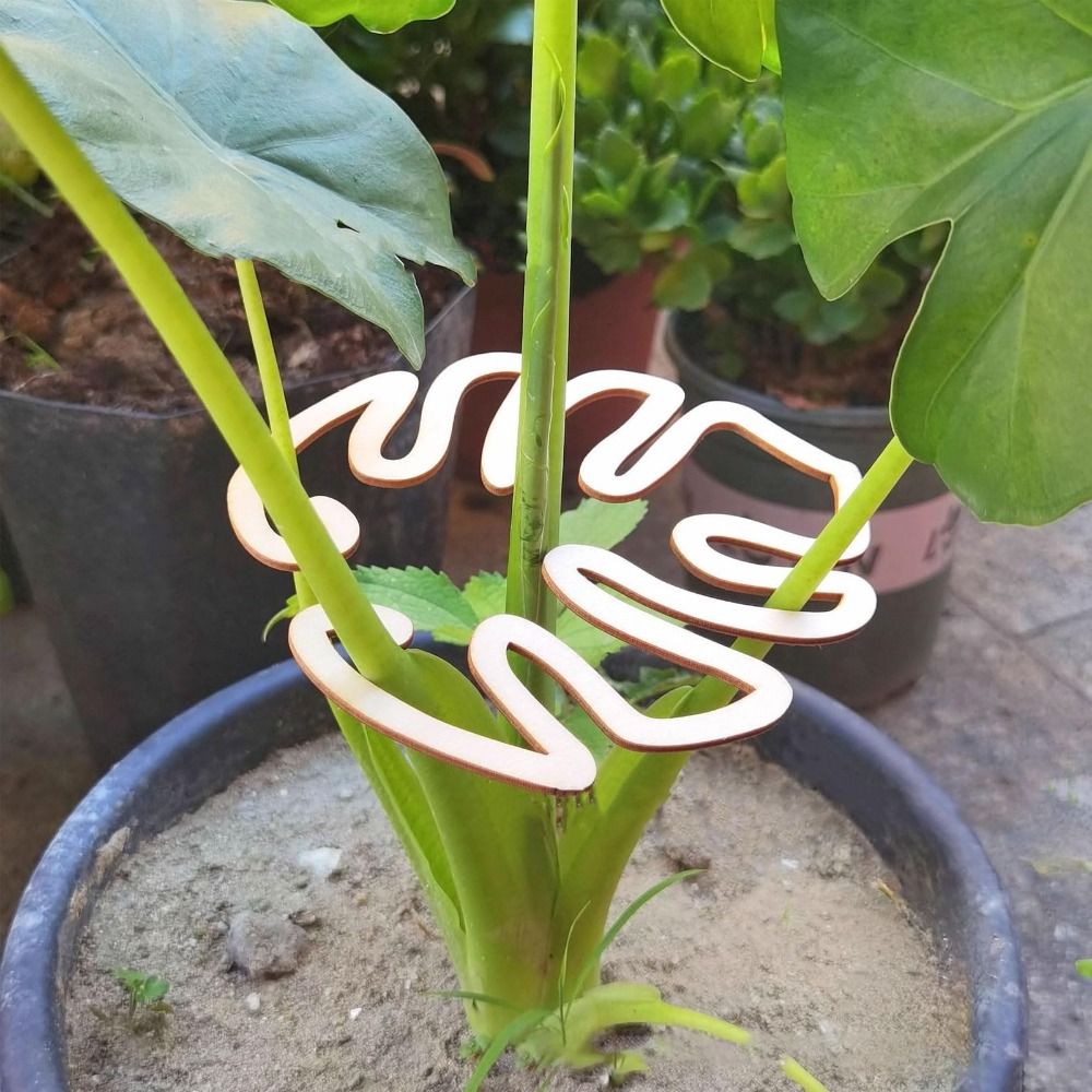 1/2PCS เต่าไม้ไผ่ CLAMP สนับสน - Gardening Tools Organizer บทวิจารณ์และราคา
