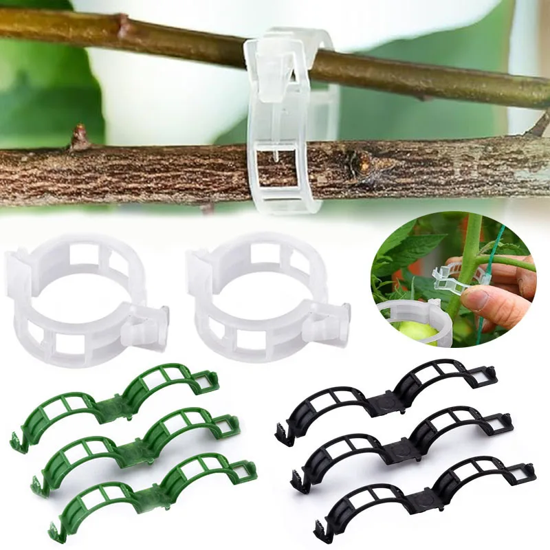 100PCS โรงงานคลิปยึด Reusable  - Gardening Tools For Vines บทวิจารณ์และราคา