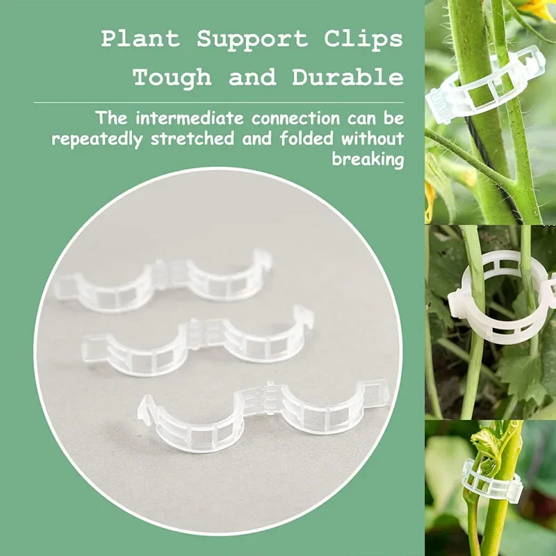 100PCS โรงงานคลิปยึด Reusable  - Gardening Tools For Vines บทวิจารณ์และราคา