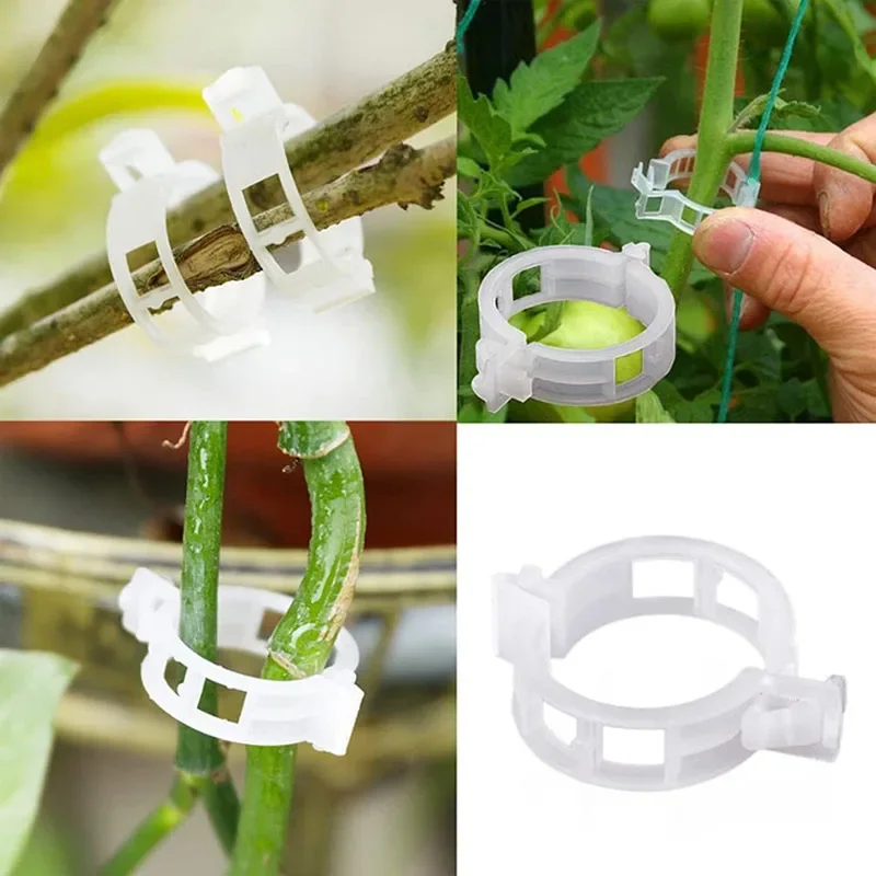 100PCS โรงงานคลิปยึด Reusable  - Gardening Tools For Vines บทวิจารณ์และราคา