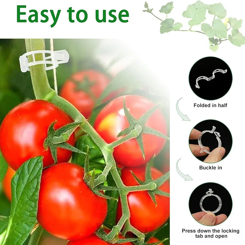 100PCS โรงงานคลิปยึด Reusable  - Gardening Tools For Vines บทวิจารณ์และราคา