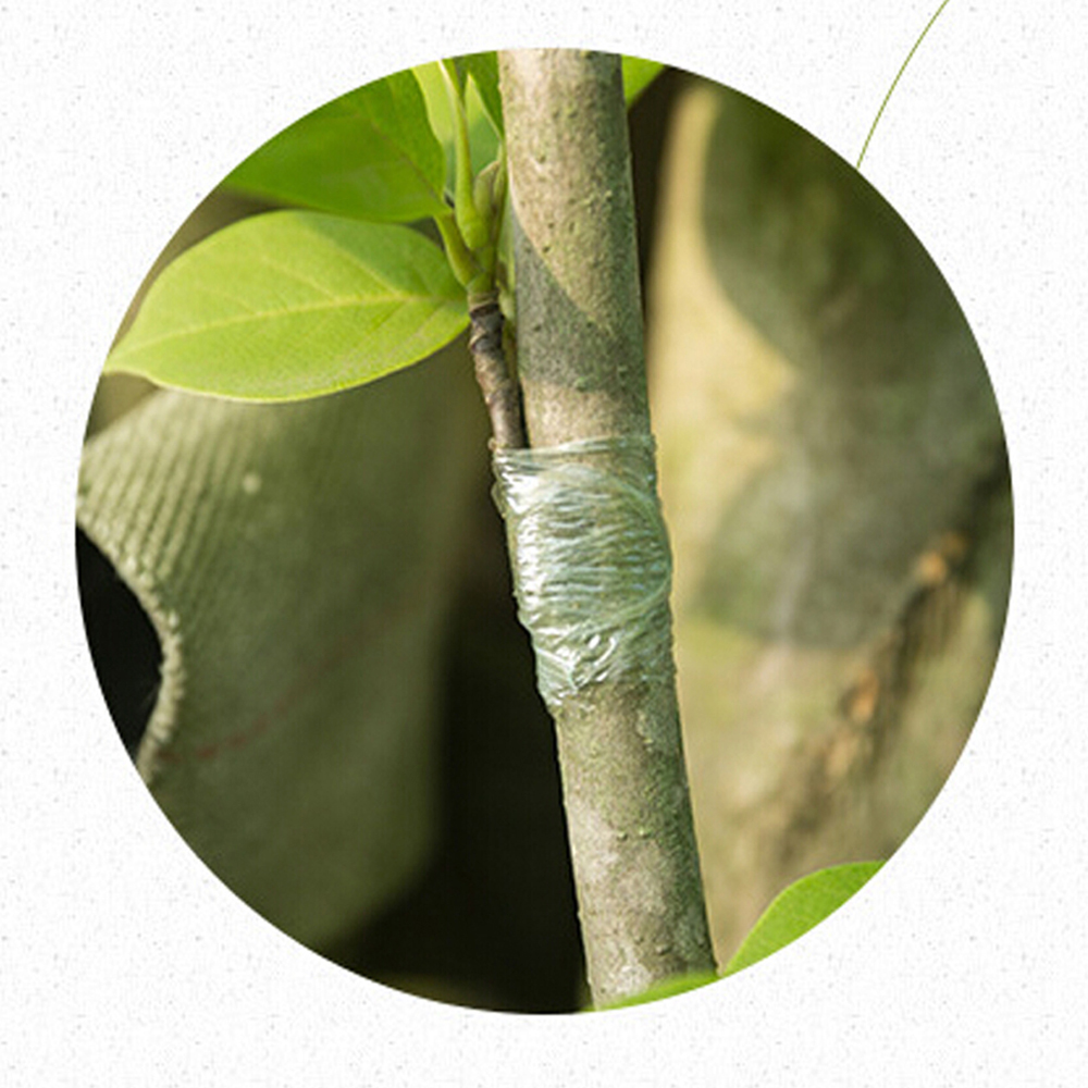 ความยาว 200M Parafilm Nursery  - Grafting Tape บทวิจารณ์และราคา