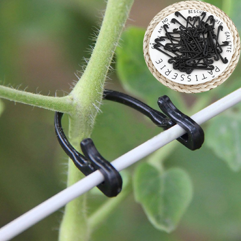 คลิปหนีบยึดต้นไม้ 50-500 ชิ้น  - Gardening Tools For Vines บทวิจารณ์และราคา
