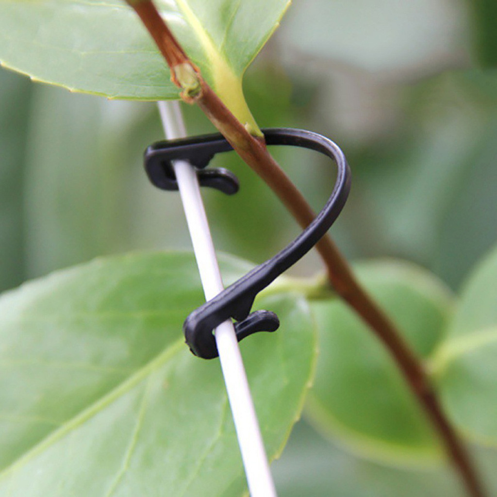คลิปหนีบยึดต้นไม้ 50-500 ชิ้น  - Gardening Tools For Vines บทวิจารณ์และราคา
