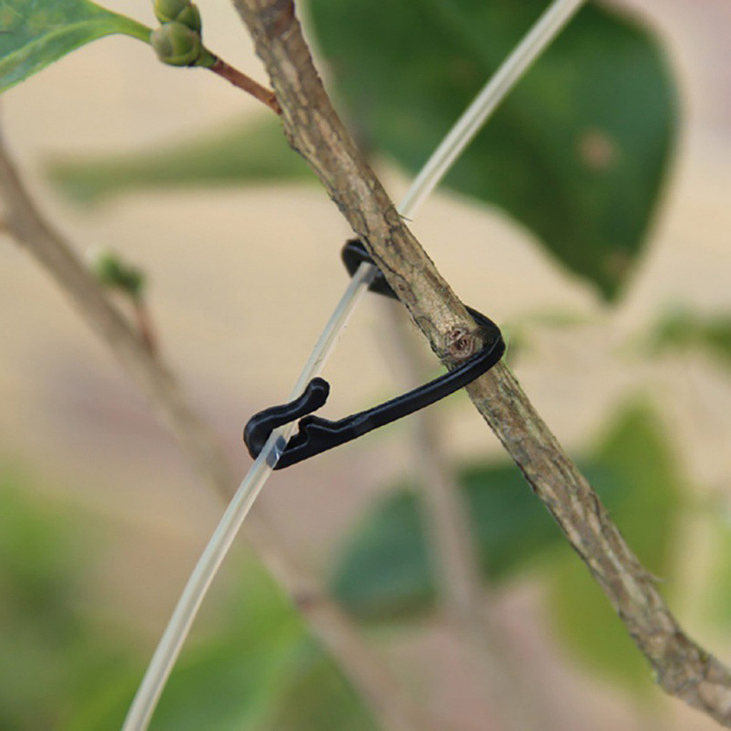 คลิปหนีบยึดต้นไม้ 50-500 ชิ้น  - Gardening Tools For Vines บทวิจารณ์และราคา