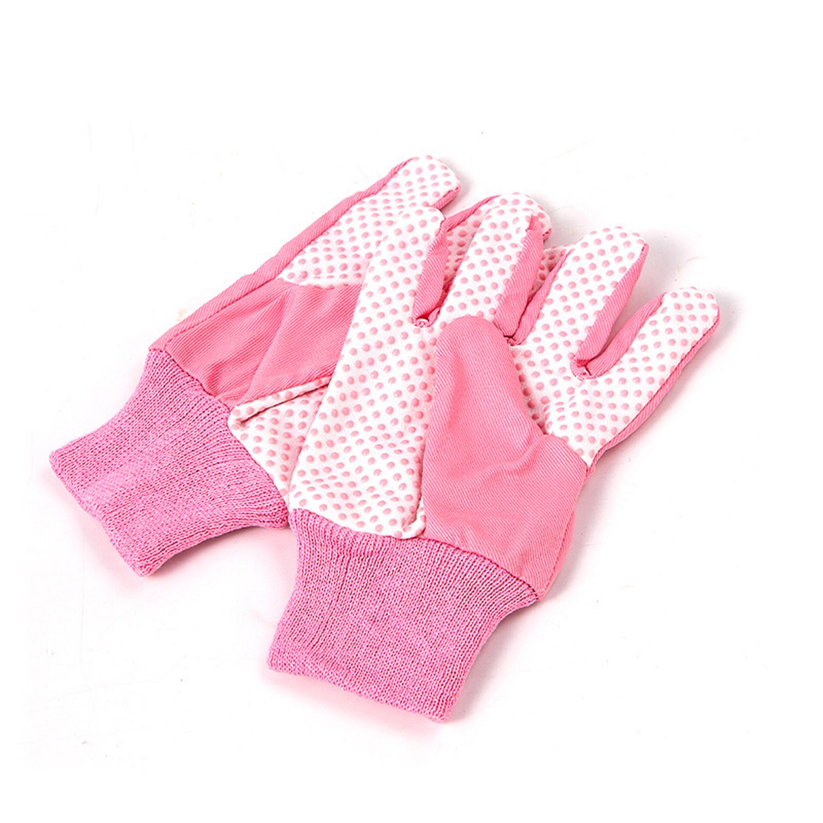 ชุดเครื่องมือทำสวนสำหรับเด็ก ช - Gardening Tools Set Gift บทวิจารณ์และราคา