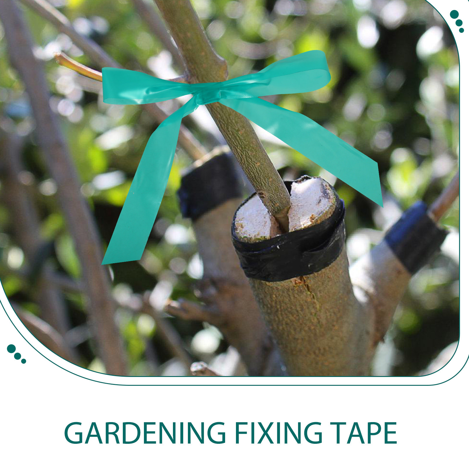 เทปผูกต้นไม้แบบยืดหยุ่น 2 ม้วน - Grafting Tape บทวิจารณ์และราคา