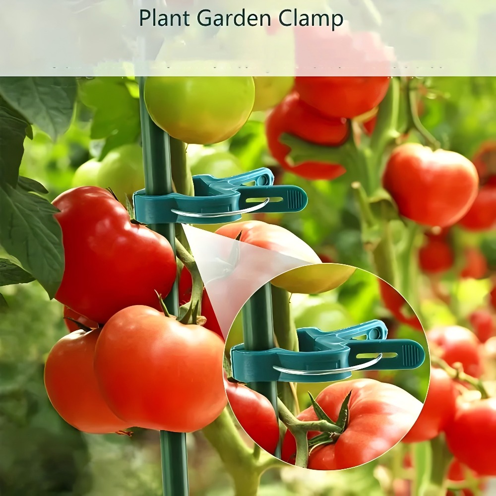 คลิปหนีบต้นไม้แบบปรับได้ 10/30 - Gardening Tools For Vines บทวิจารณ์และราคา