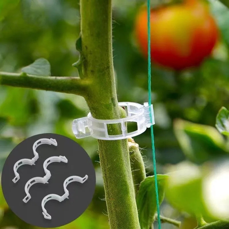 คลิปหนีบต้นไม้สำหรับสวนกลางแจ้ - Gardening Tools For Vines บทวิจารณ์และราคา