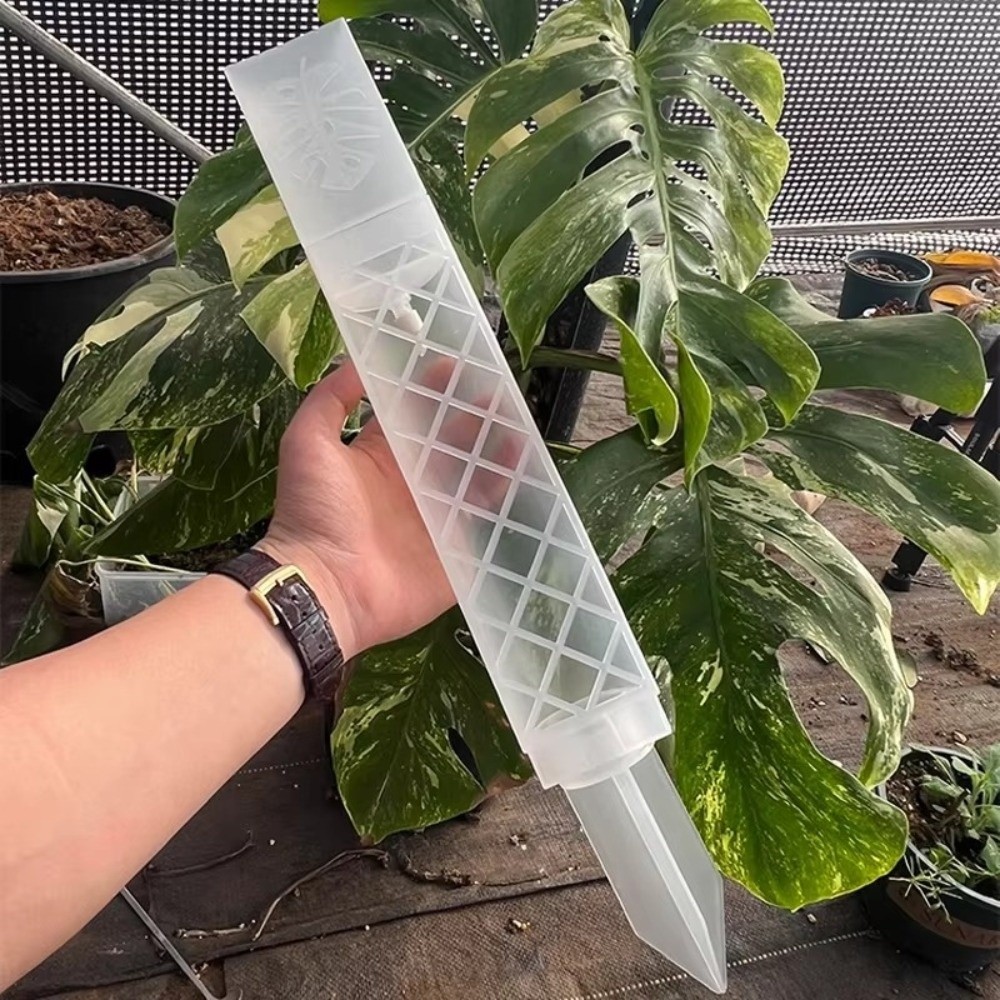 เสาให้น้ำต้นไม้รูปตัว D แบบปรั - Automatic Plant Waterer บทวิจารณ์และราคา