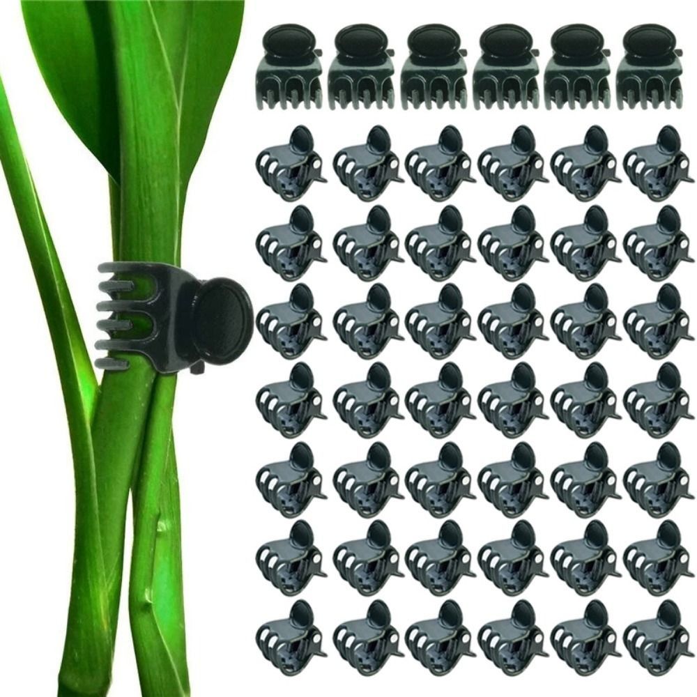 คลิปปลูกต้นไม้เถาวัลย์คลิปอุปก - Gardening Tools For Vines บทวิจารณ์และราคา