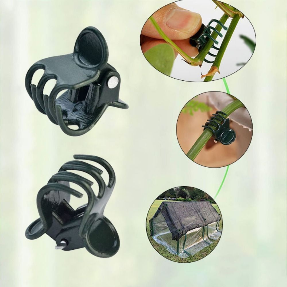 คลิปปลูกต้นไม้เถาวัลย์คลิปอุปก - Gardening Tools For Vines บทวิจารณ์และราคา