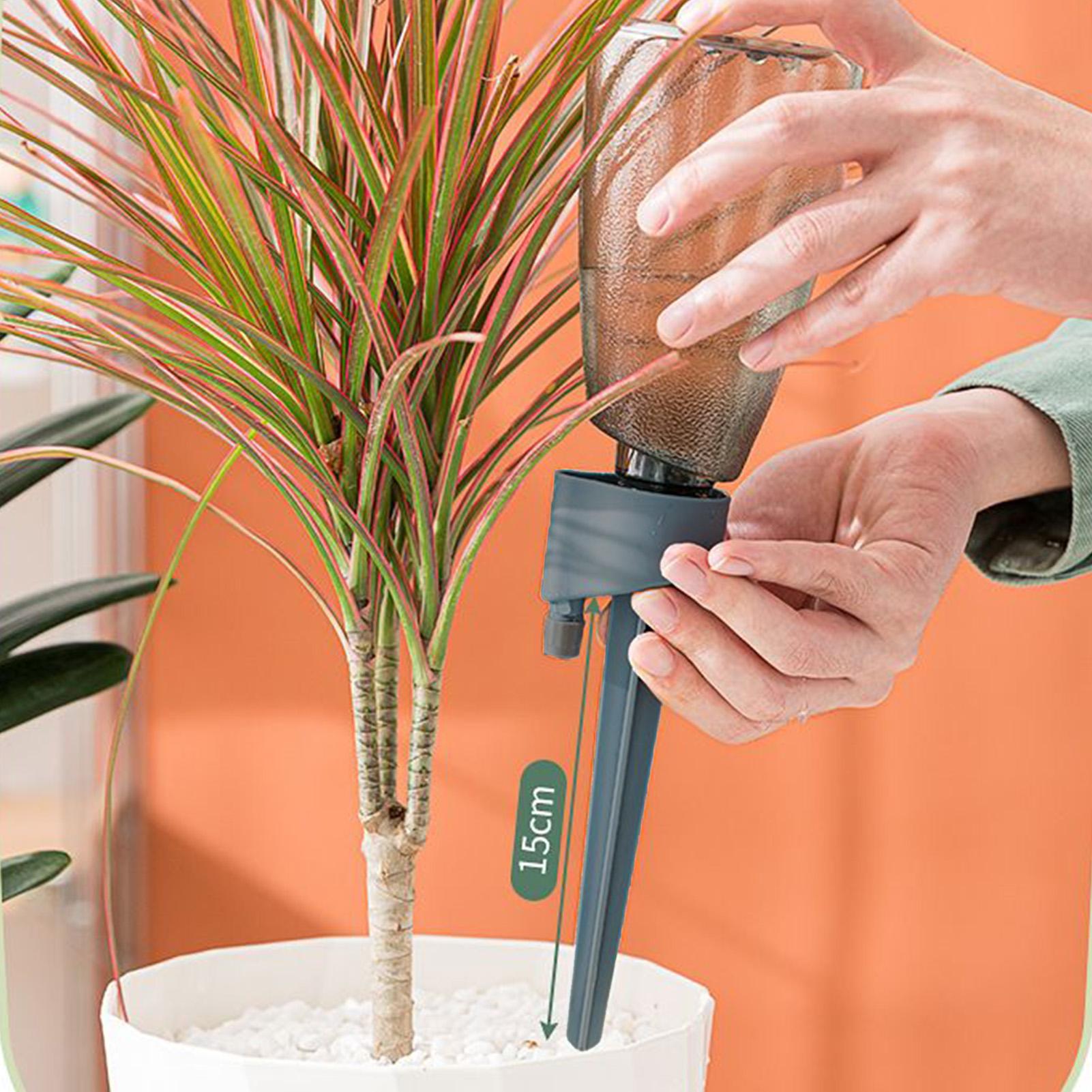 ชุดรดน้ำอัตโนมัติ 6 ชิ้น สำหรั - Automatic Plant Waterer บทวิจารณ์และราคา