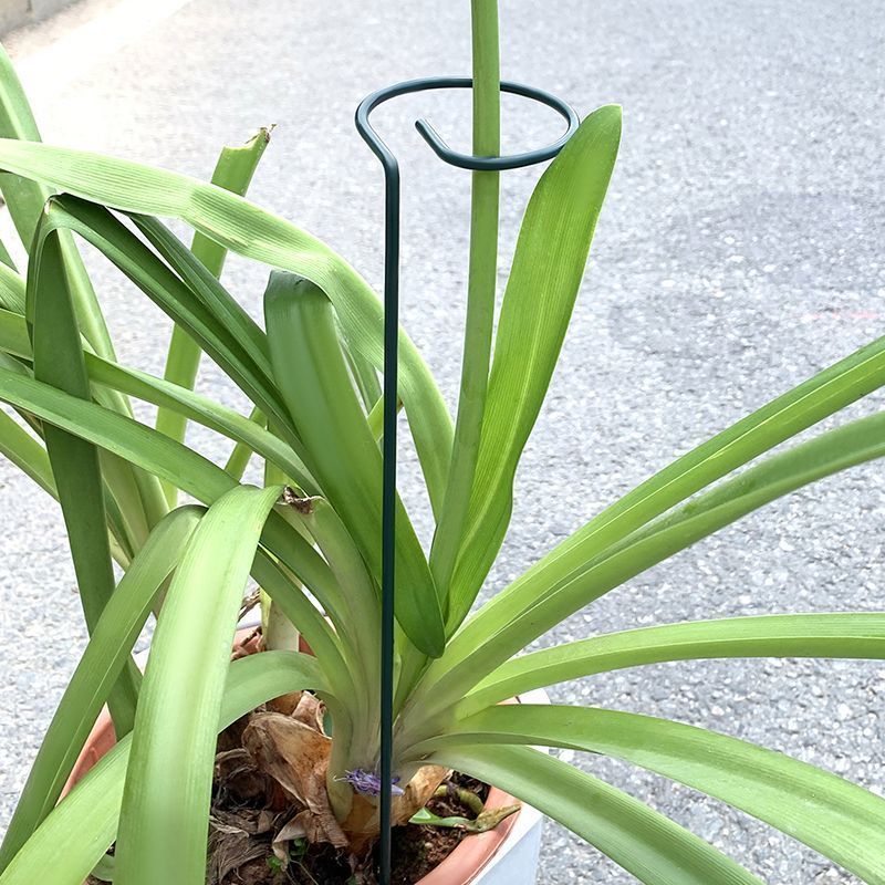 1-10pcs โลหะ SINGLE Stem พืชไม - Gardening Tools For Vines บทวิจารณ์และราคา