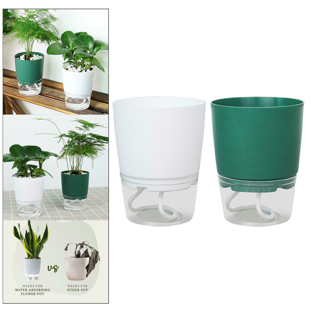 กระถางดอกไม้พลาสติกใสสองชั้นพร - Automatic Plant Waterer บทวิจารณ์และราคา