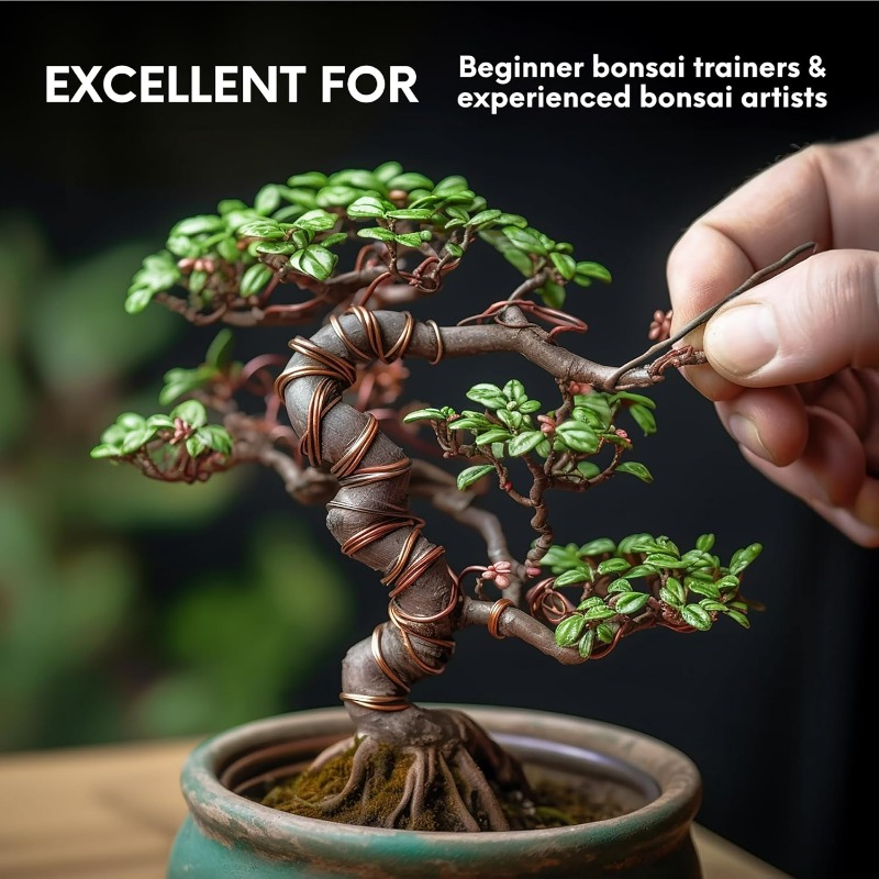ชุดลวดฝึกบอนไซ 5 เมตร สำหรับพย - Gardening Tools For Vines บทวิจารณ์และราคา