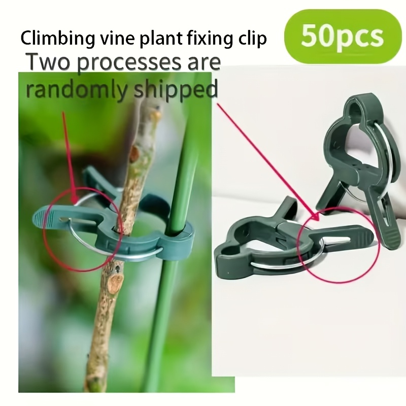 คลิปหนีบยึดต้นไม้แบบปรับได้ 20 - Gardening Tools For Vines บทวิจารณ์และราคา