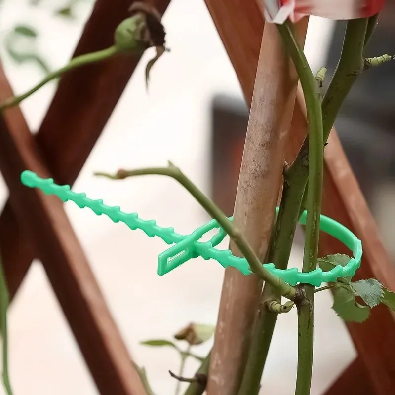 สายรัดต้นไม้แบบใช้ซ้ำได้ สำหรั - Gardening Tools For Vines บทวิจารณ์และราคา