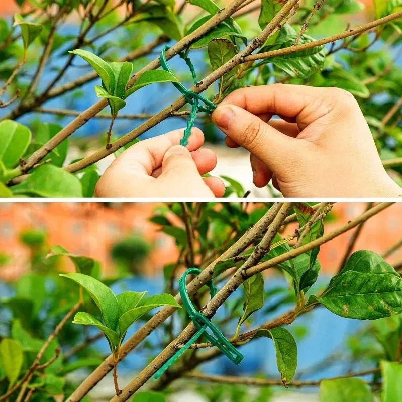 สายรัดต้นไม้แบบใช้ซ้ำได้ สำหรั - Gardening Tools For Vines บทวิจารณ์และราคา