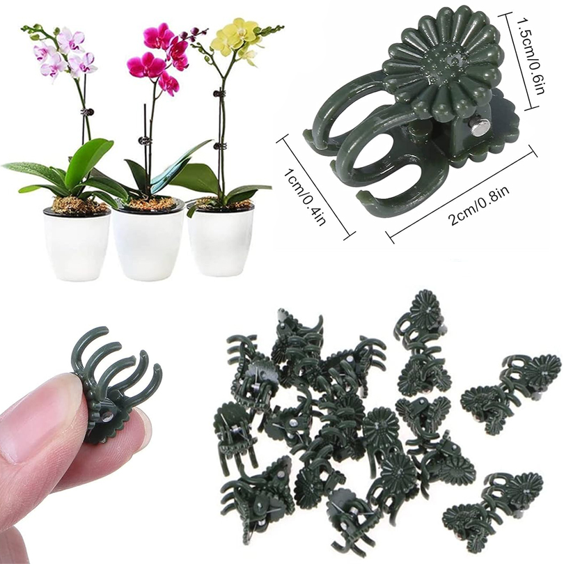 คลิปหนีบต้นไม้20/50/100ชิ้นคลิ - Gardening Tools For Vines บทวิจารณ์และราคา