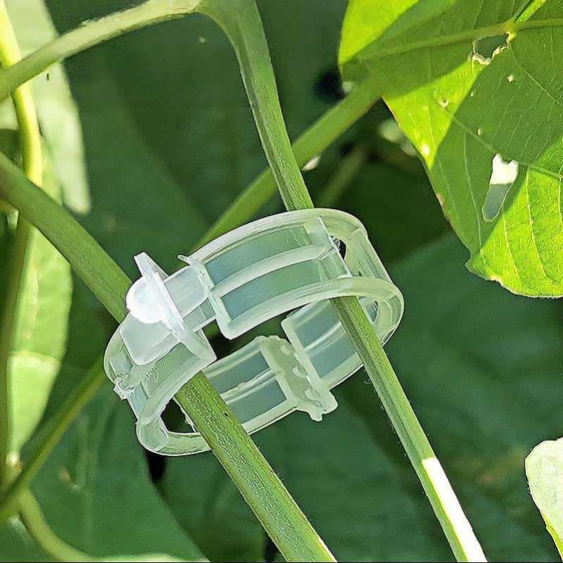 คลิปหนีบยึดต้นไม้แบบใช้ซ้ำได้  - Gardening Tools For Vines บทวิจารณ์และราคา