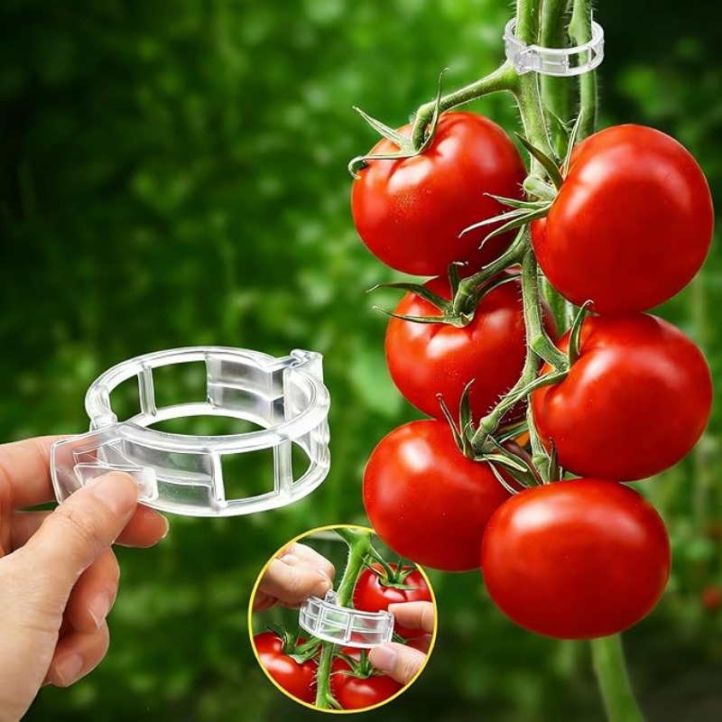 คลิปหนีบยึดต้นไม้แบบใช้ซ้ำได้  - Gardening Tools For Vines บทวิจารณ์และราคา
